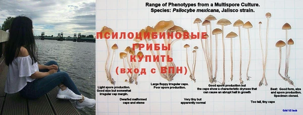 винт Алзамай