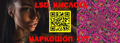 jwh Кингисепп