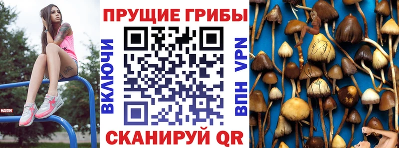Псилоцибиновые грибы мицелий  даркнет сайт  Туймазы 