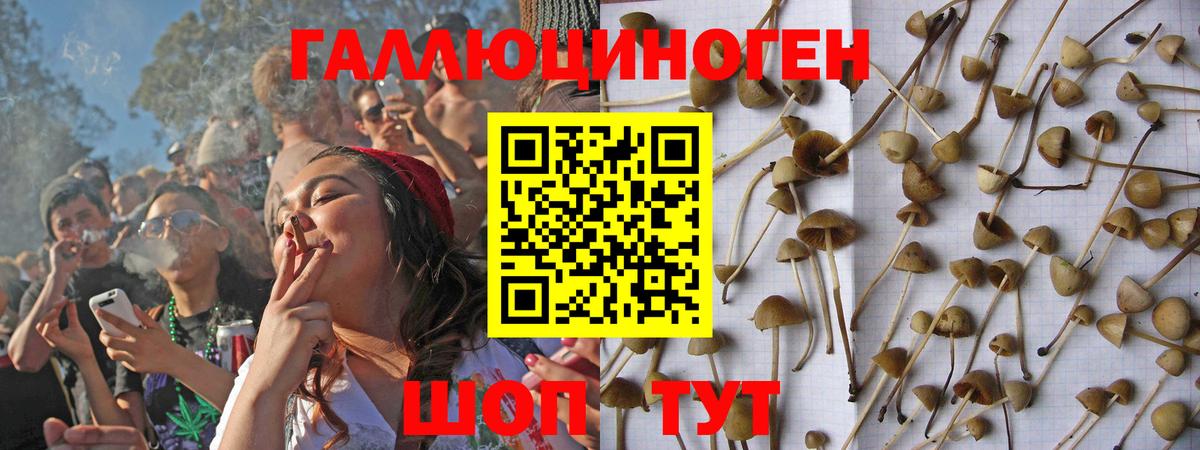 Галлюциногенные грибы Psilocybe Туймазы